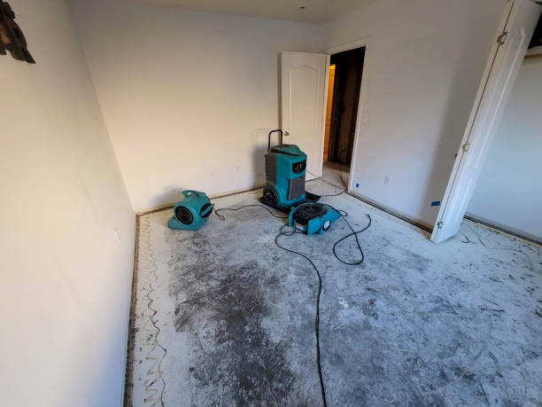 Best Water damage cleanup near me  in Manor, PA