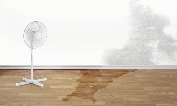 Best Water damage restoration company  in Manor, PA