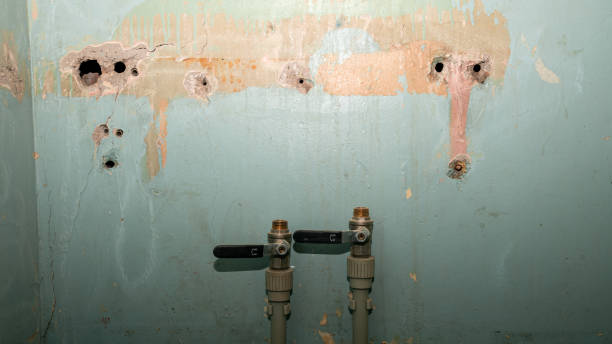 Best Basement water damage restoration  in Manor, PA